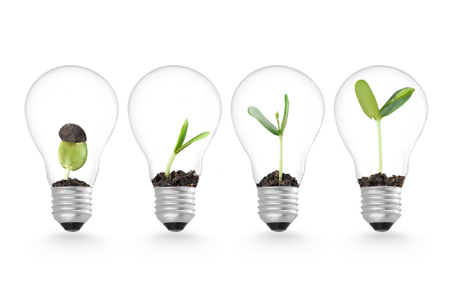Word of Mouth Strategies for Small Businesses